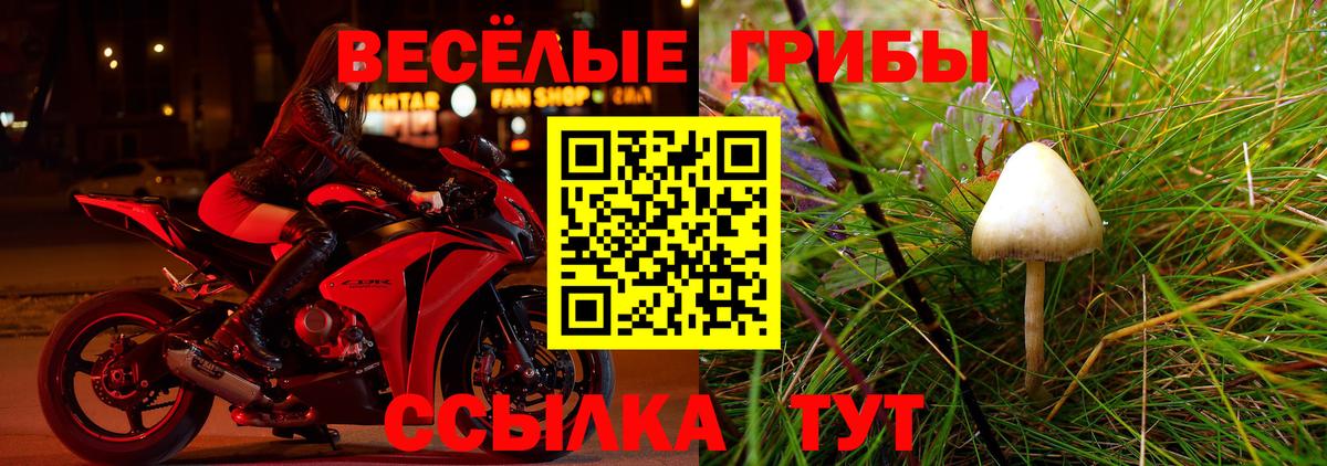 Галлюциногенные грибы мицелий Майский