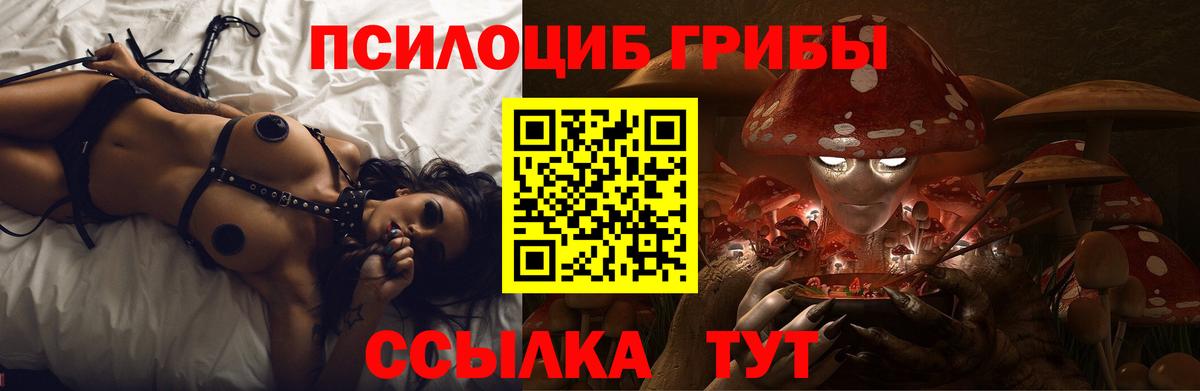 Майский  Галлюциногенные грибы GOLDEN TEACHER  Псилоцибиновые грибы мицелий  Вход с VPN 